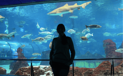 L'Aquarium de Barcelone